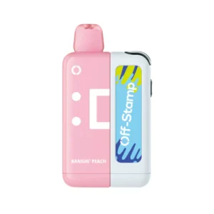 Off Stamp X Cube 25k Puff Disposable Vape Kit